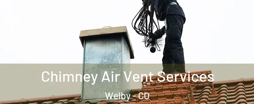  Chimney Air Vent Services Welby - CO