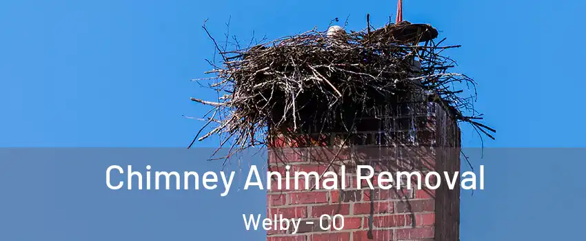  Chimney Animal Removal Welby - CO