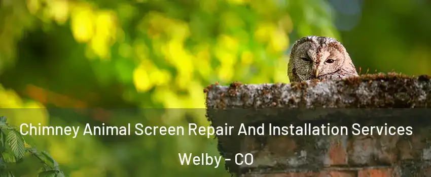 Chimney Animal Screen Repair And Installation Services Welby - CO