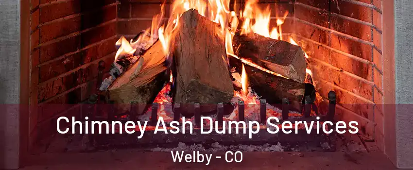  Chimney Ash Dump Services Welby - CO