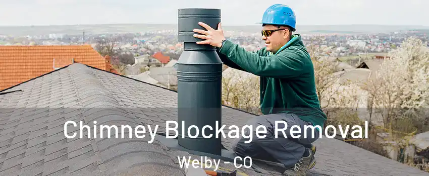  Chimney Blockage Removal Welby - CO
