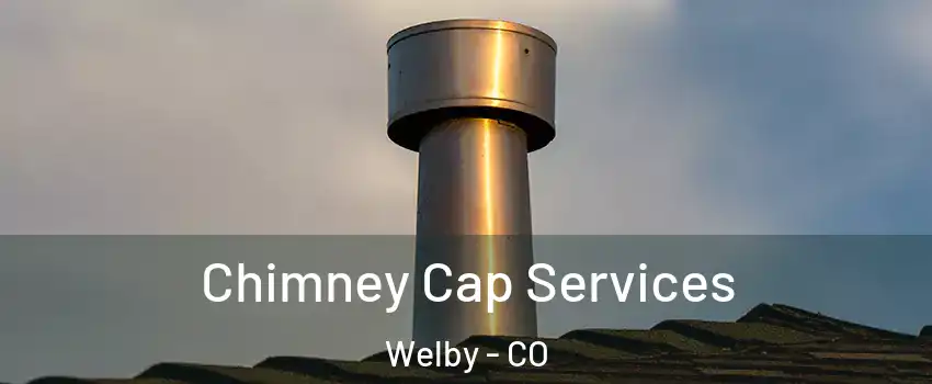  Chimney Cap Services Welby - CO