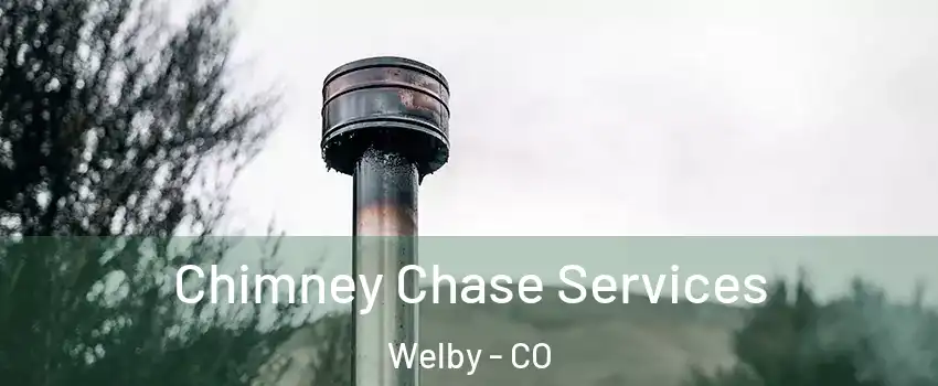  Chimney Chase Services Welby - CO