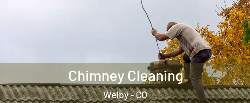  Chimney Cleaning Welby - CO