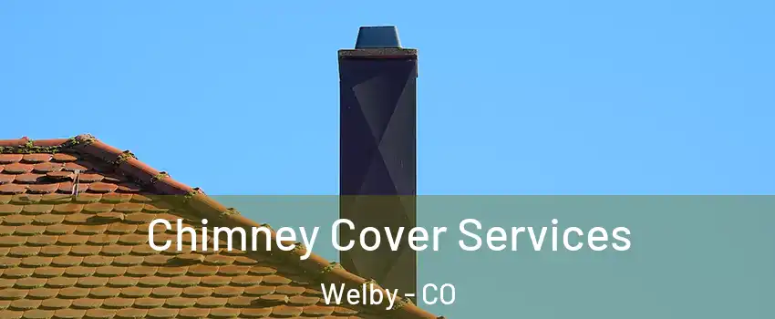  Chimney Cover Services Welby - CO