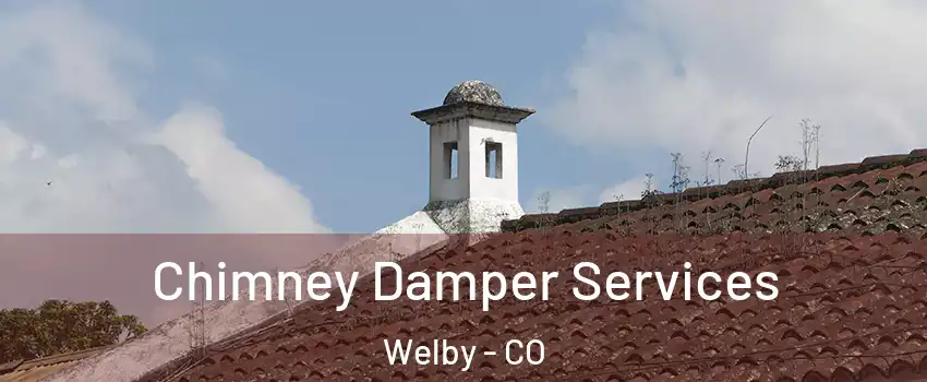  Chimney Damper Services Welby - CO