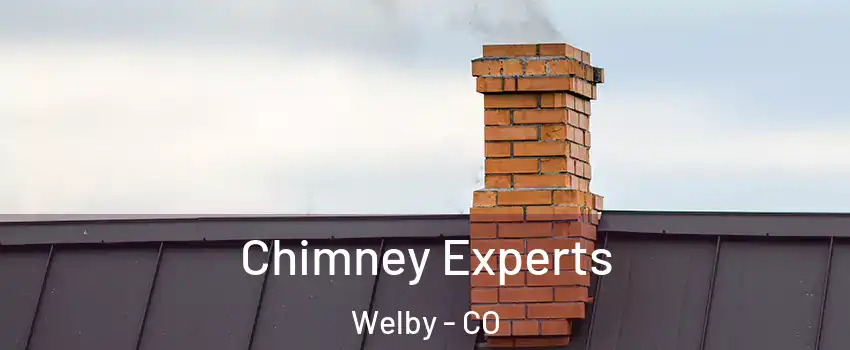  Chimney Experts Welby - CO