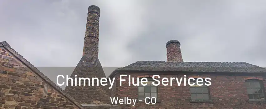  Chimney Flue Services Welby - CO