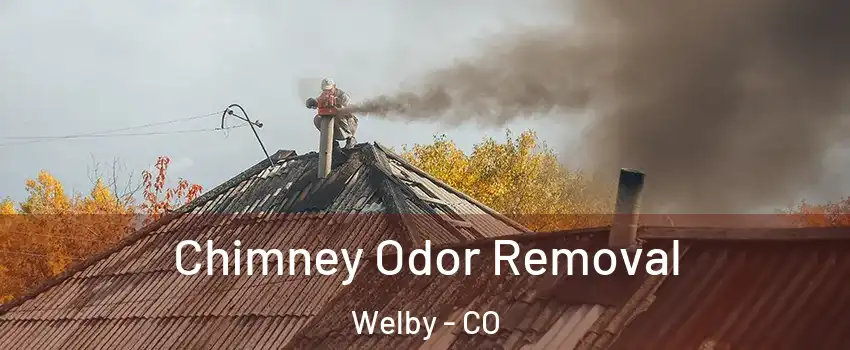  Chimney Odor Removal Welby - CO