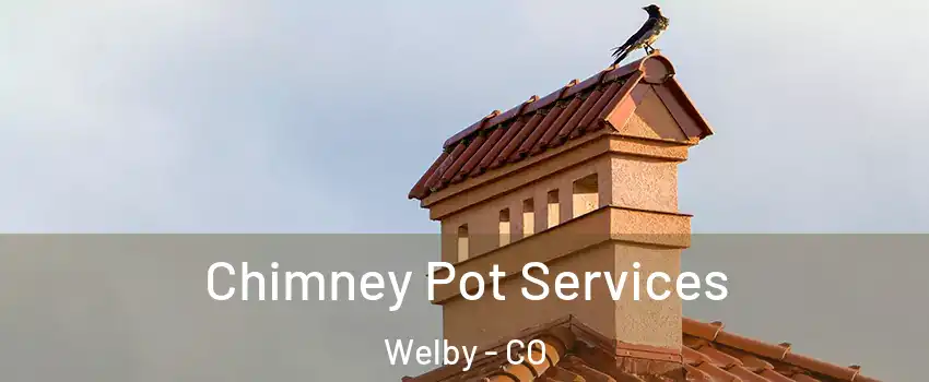  Chimney Pot Services Welby - CO