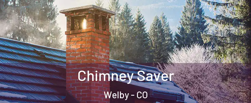  Chimney Saver Welby - CO