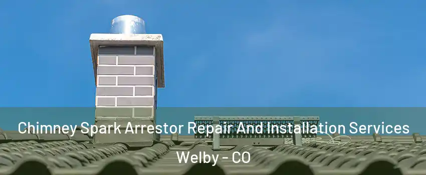  Chimney Spark Arrestor Repair And Installation Services Welby - CO