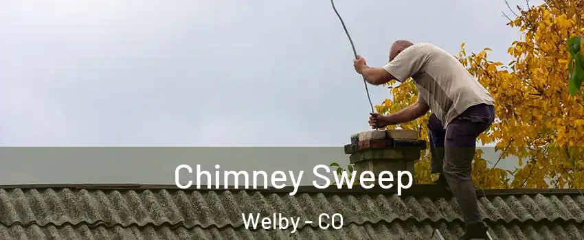  Chimney Sweep Welby - CO