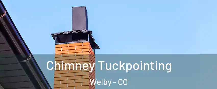  Chimney Tuckpointing Welby - CO