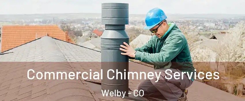  Commercial Chimney Services Welby - CO