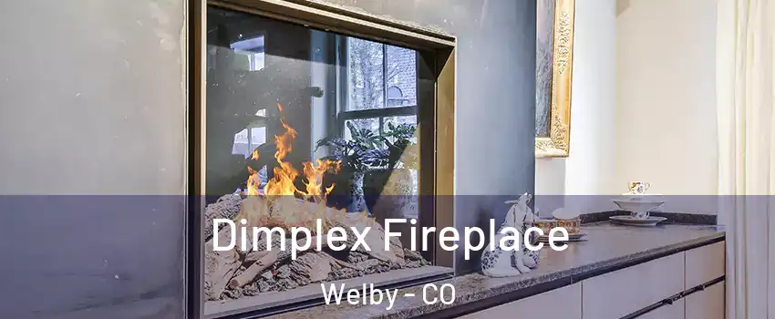  Dimplex Fireplace Welby - CO