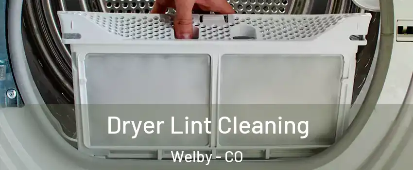  Dryer Lint Cleaning Welby - CO
