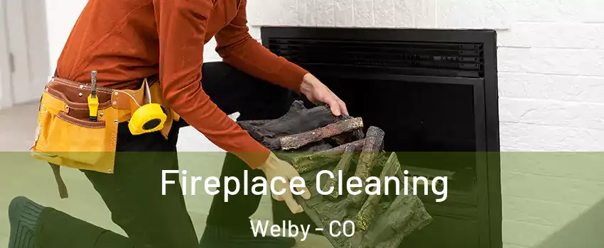  Fireplace Cleaning Welby - CO