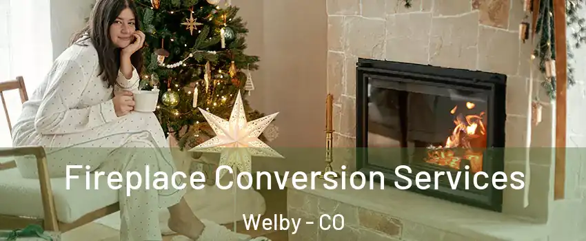  Fireplace Conversion Services Welby - CO