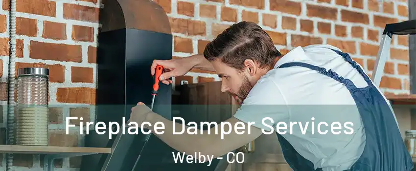  Fireplace Damper Services Welby - CO