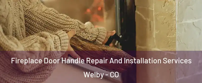  Fireplace Door Handle Repair And Installation Services Welby - CO