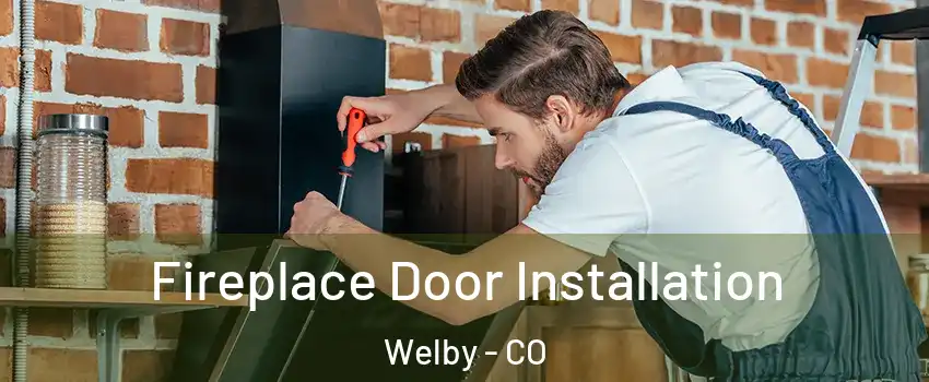  Fireplace Door Installation Welby - CO