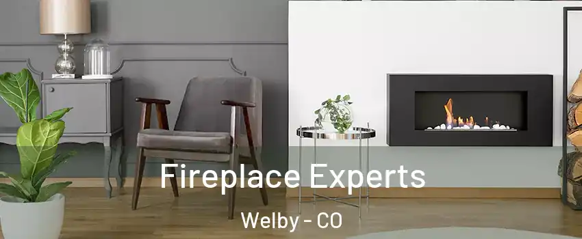  Fireplace Experts Welby - CO