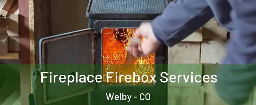  Fireplace Firebox Services Welby - CO