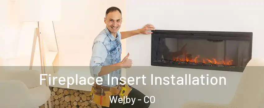  Fireplace Insert Installation Welby - CO