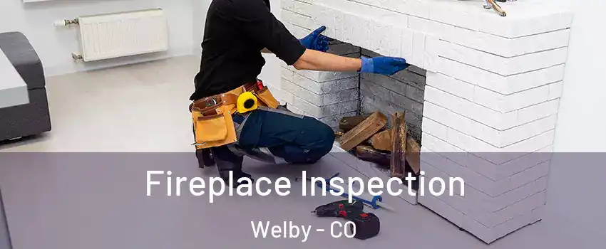  Fireplace Inspection Welby - CO