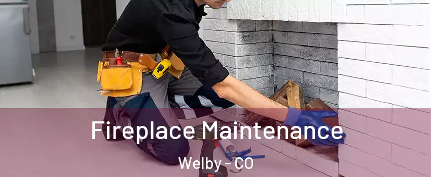  Fireplace Maintenance Welby - CO