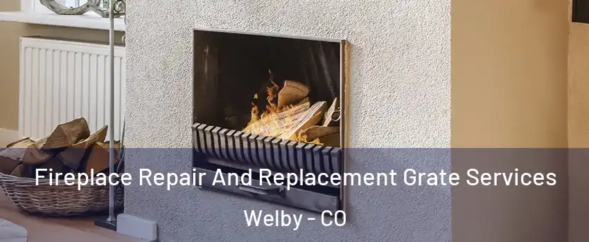  Fireplace Repair And Replacement Grate Services Welby - CO