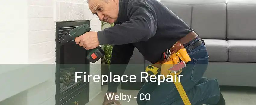  Fireplace Repair Welby - CO