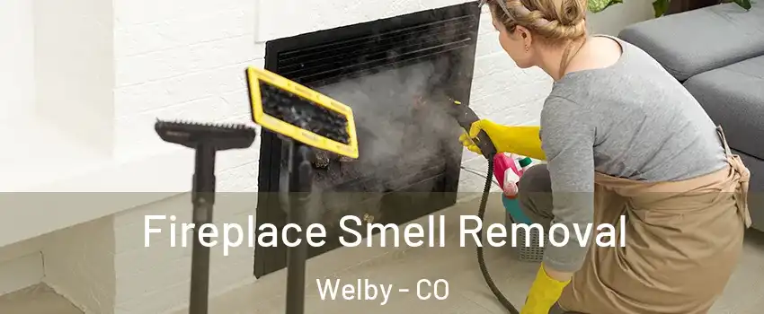  Fireplace Smell Removal Welby - CO