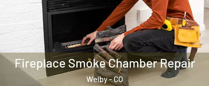  Fireplace Smoke Chamber Repair Welby - CO