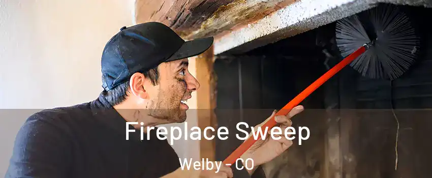  Fireplace Sweep Welby - CO
