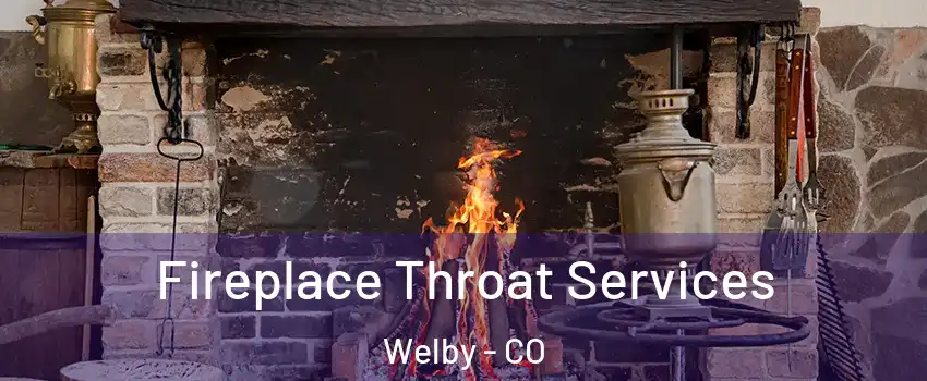  Fireplace Throat Services Welby - CO