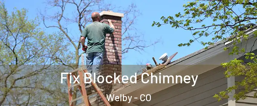  Fix Blocked Chimney Welby - CO