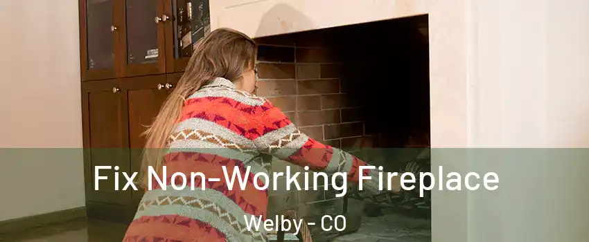  Fix Non-Working Fireplace Welby - CO