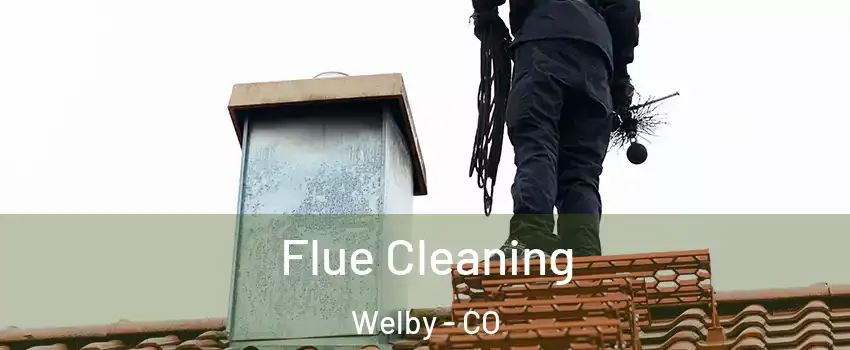  Flue Cleaning Welby - CO