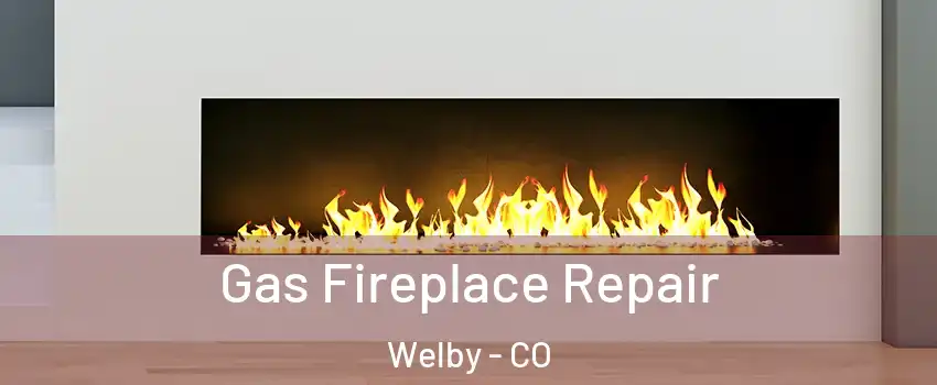  Gas Fireplace Repair Welby - CO