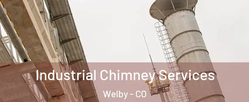  Industrial Chimney Services Welby - CO