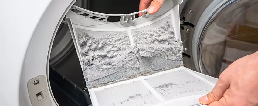 Best Dryer Lint Removal Company in Welby, Colorado