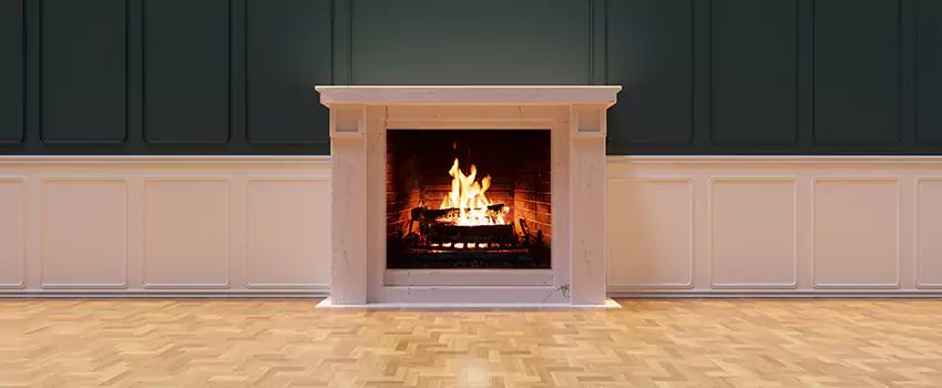 Napoleon Electric Fireplaces Inspection Service in Welby, Colorado