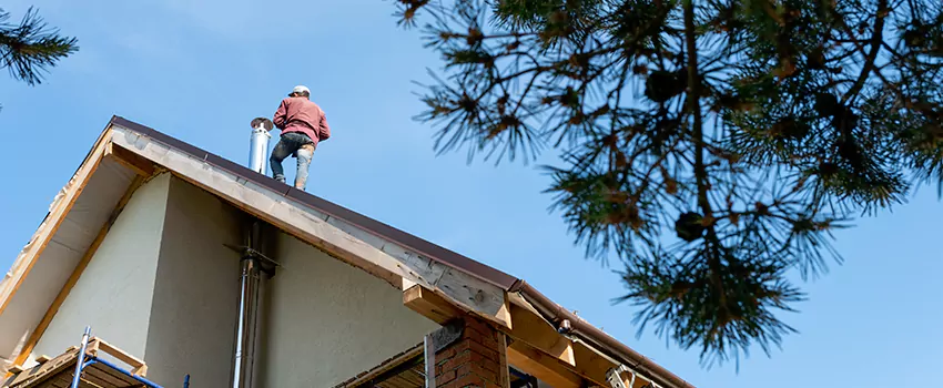 Birds Removal Contractors from Chimney in Welby, CO