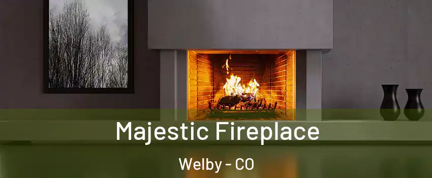  Majestic Fireplace Welby - CO