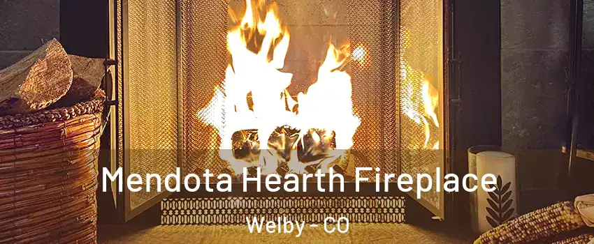  Mendota Hearth Fireplace Welby - CO