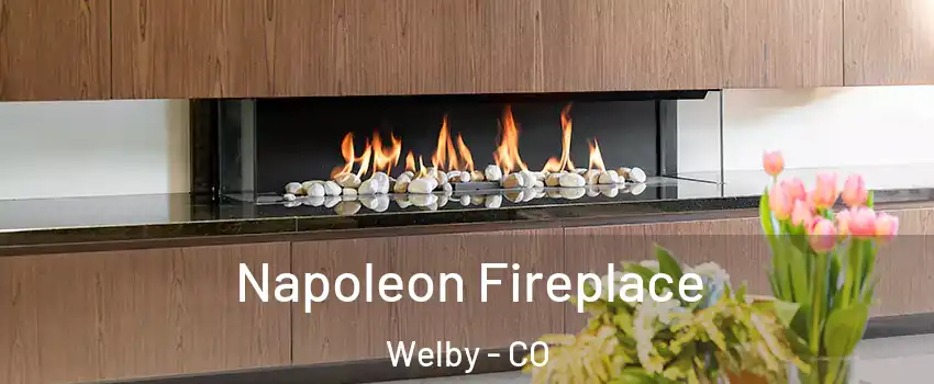  Napoleon Fireplace Welby - CO