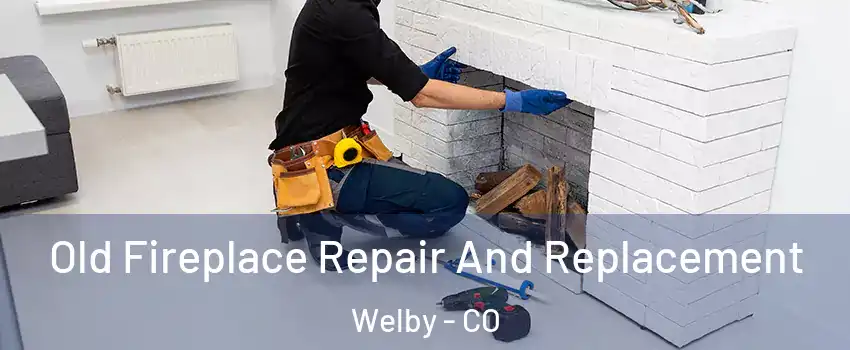  Old Fireplace Repair And Replacement Welby - CO