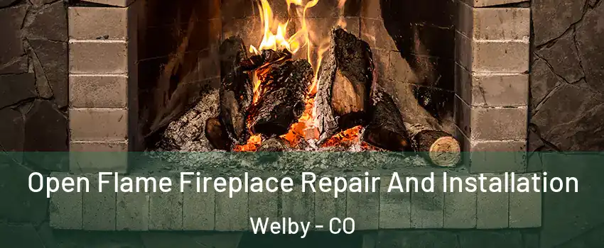  Open Flame Fireplace Repair And Installation Welby - CO